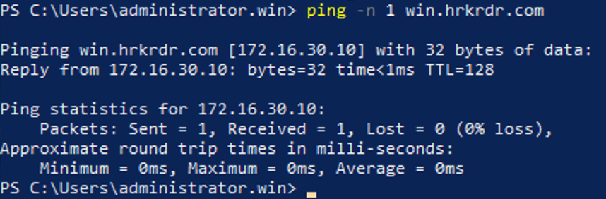 Ping domain /imgs/2021.03_dirsrv1_pingdomain.png